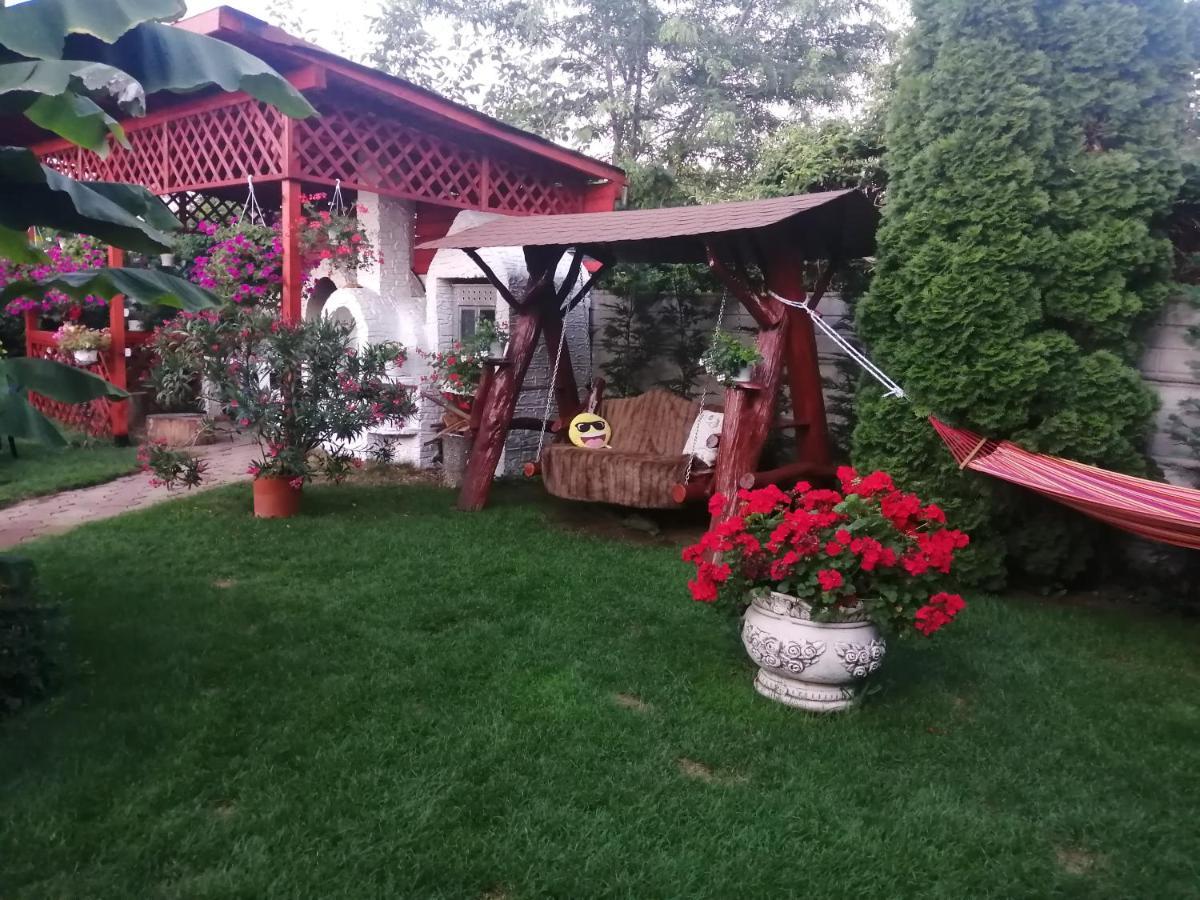 Casa Mona Villa Oradea Ngoại thất bức ảnh