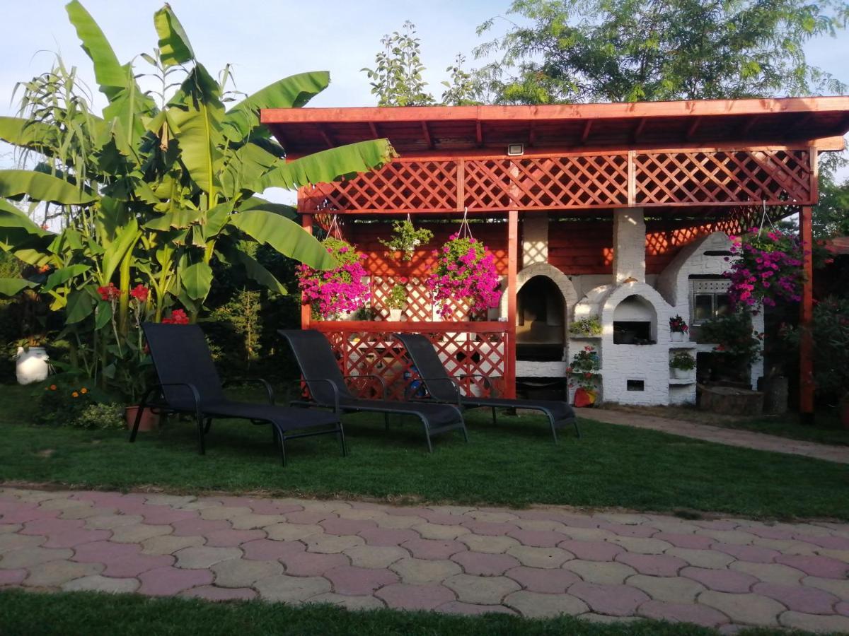 Casa Mona Villa Oradea Ngoại thất bức ảnh