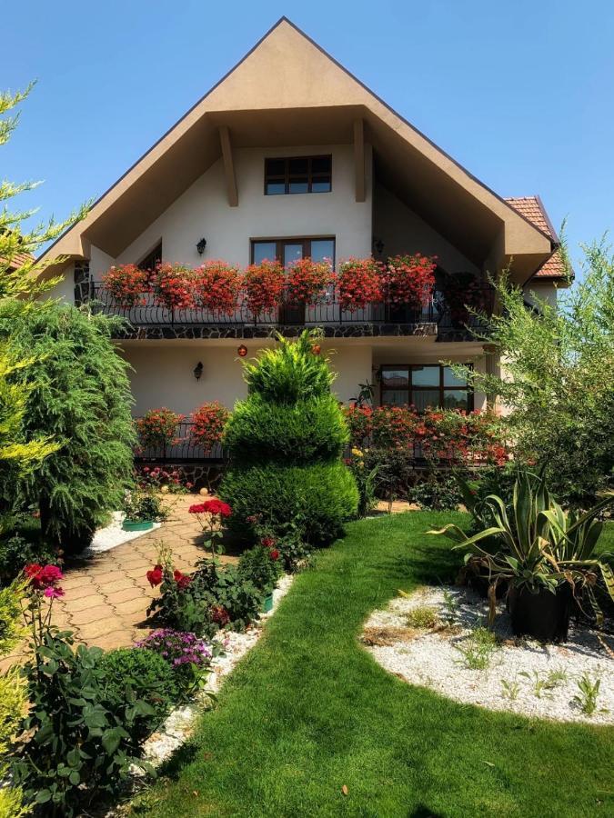 Casa Mona Villa Oradea Ngoại thất bức ảnh