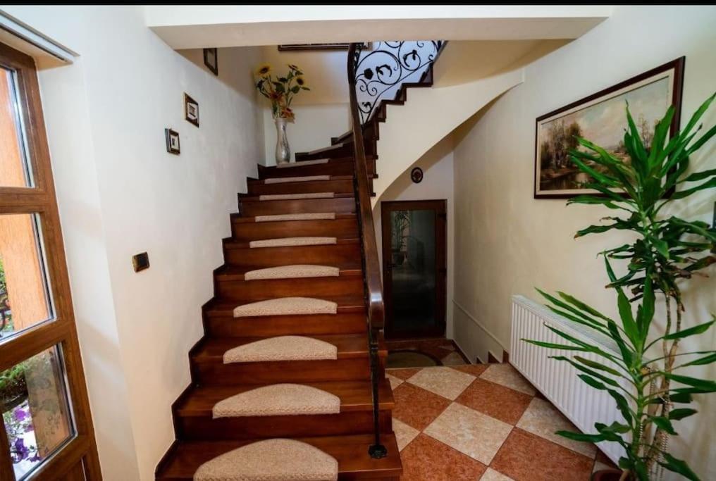 Casa Mona Villa Oradea Ngoại thất bức ảnh