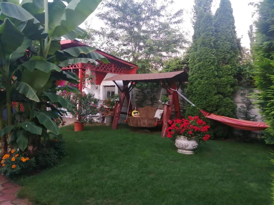Casa Mona Villa Oradea Ngoại thất bức ảnh