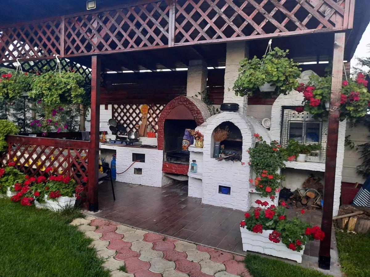Casa Mona Villa Oradea Ngoại thất bức ảnh
