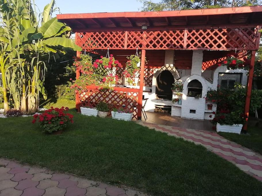Casa Mona Villa Oradea Ngoại thất bức ảnh